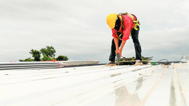 Best Skylight Installation and Repair  in Four Corners, TX